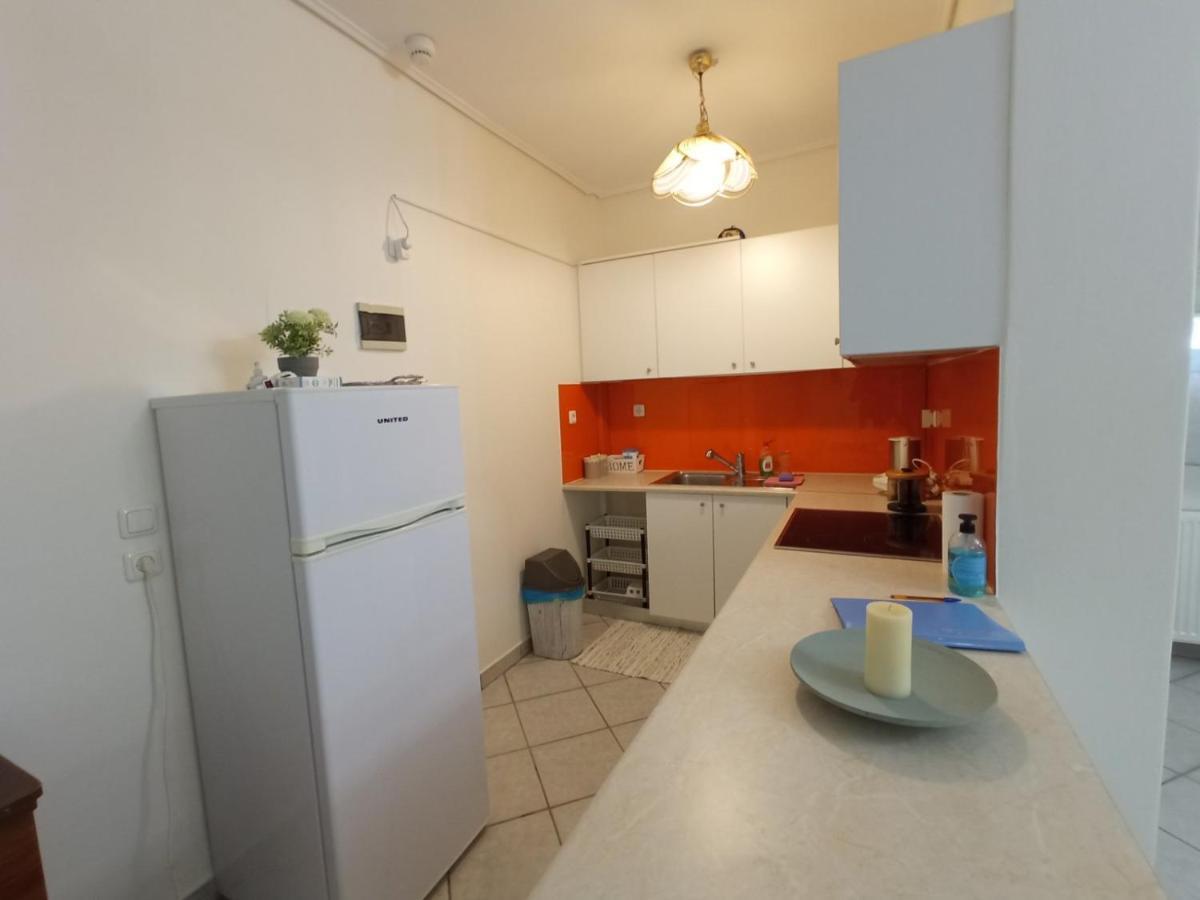 Apartmán Flat With Garden Near Sea, Port And Airport Artemida  Exteriér fotografie