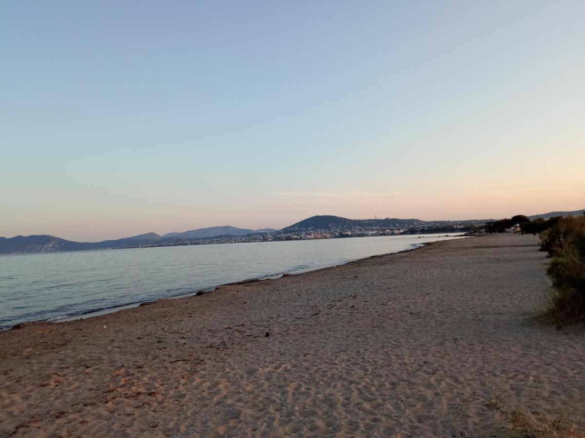 Apartmán Flat With Garden Near Sea, Port And Airport Artemida  Exteriér fotografie