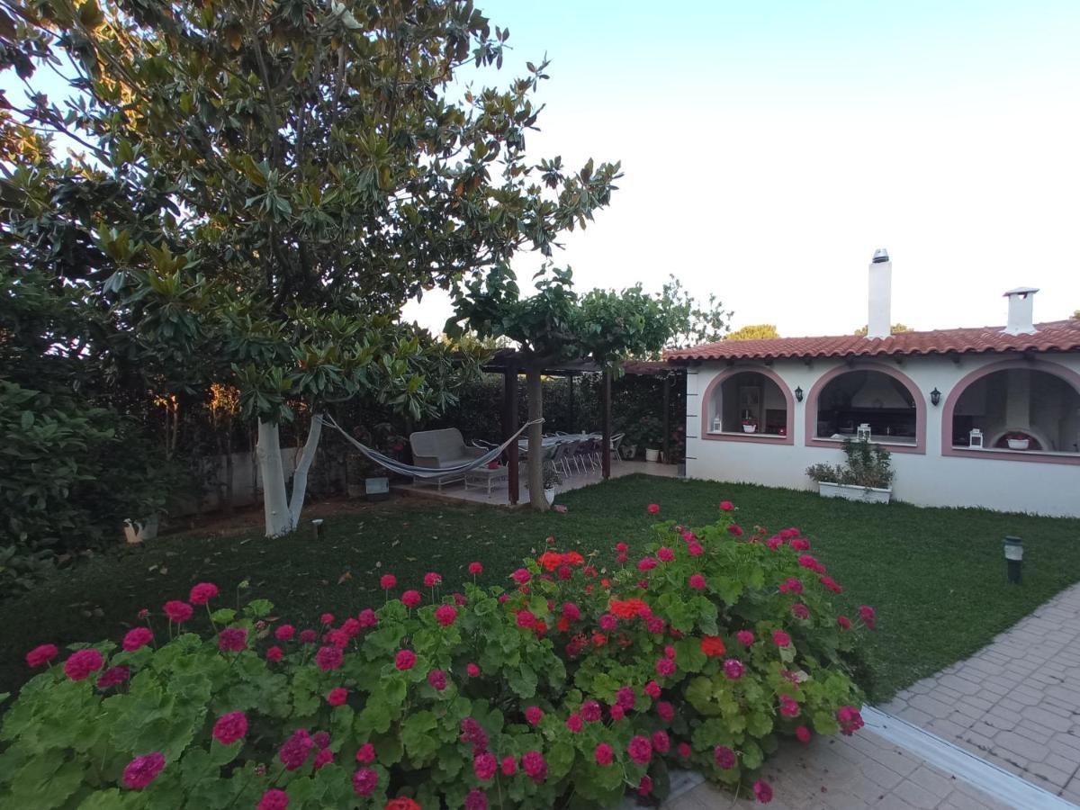 Apartmán Flat With Garden Near Sea, Port And Airport Artemida  Exteriér fotografie